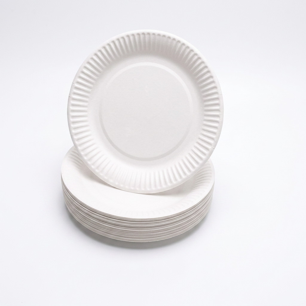 9" Bagasse Plate