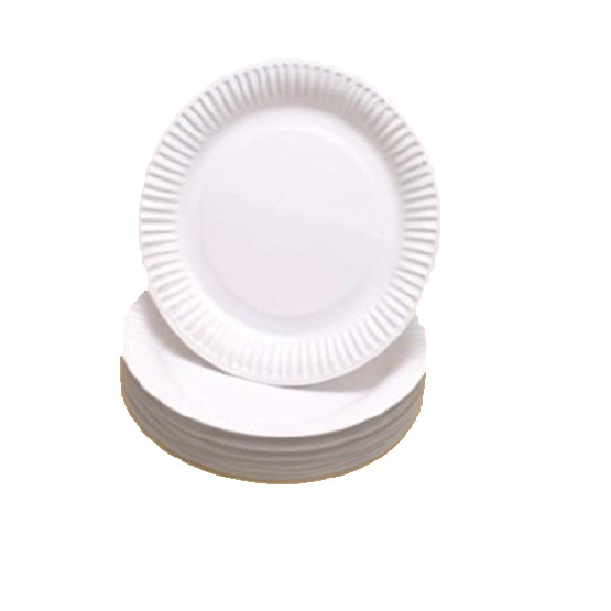 9" Bagasse Plate