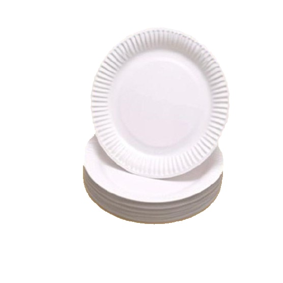 7" Bagasse Plate