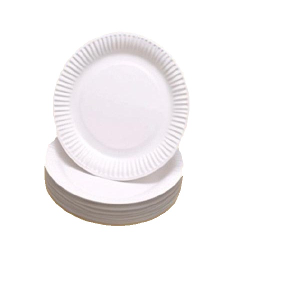 10" Bagasse Plate